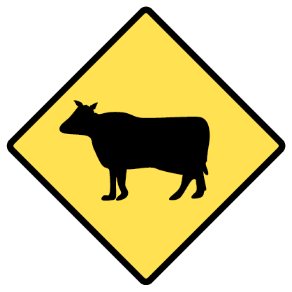 Cattle Crossing